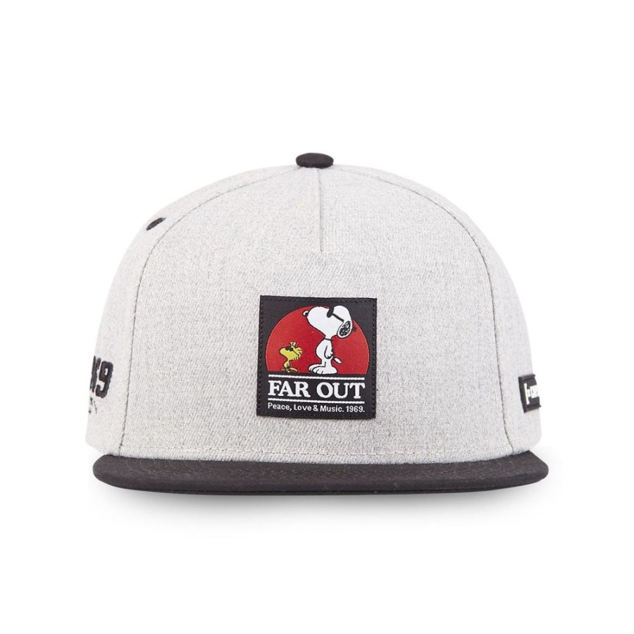 Casquettes CAPSLAB | Casquette Baseball Peanuts Snoopy Snapback Gris Capslab